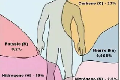 Â¿De quÃ© estoy hecho?