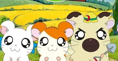 Hantaro jigsaw puzzle