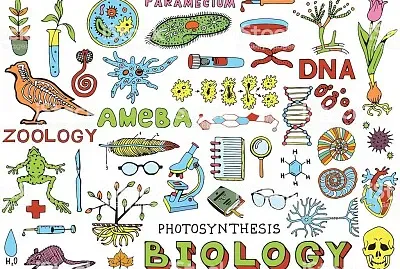 imÃ¡genes biologÃ­a