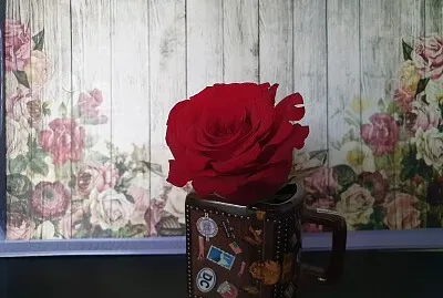 red rose jigsaw puzzle
