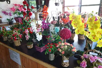 פאזל של PoÃ§os de Caldas