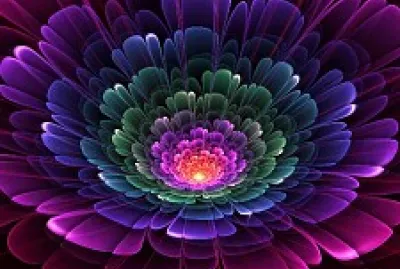 Beautiful Flower