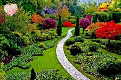 Bosque jigsaw puzzle