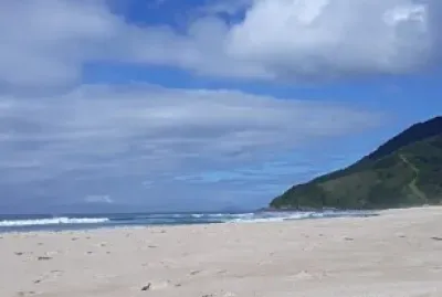 CENÃRIO K356