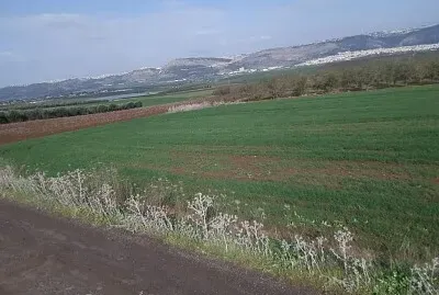 Ahuzat Barak, Israel