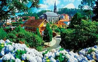 Imagem jigsaw puzzle