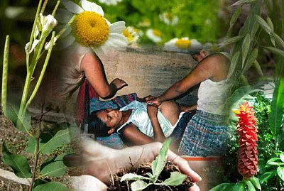 medicina inca jigsaw puzzle