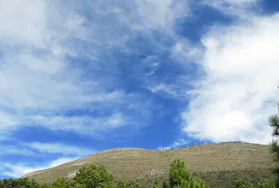 Vista