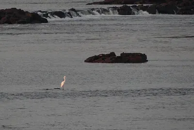 Salto Chico (RÃ­o Uruguay - Concordia)