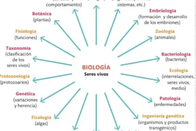 Ramas de la biologÃ­a