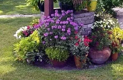 Imagem jigsaw puzzle