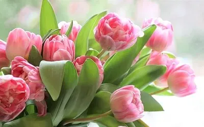 Imagem jigsaw puzzle