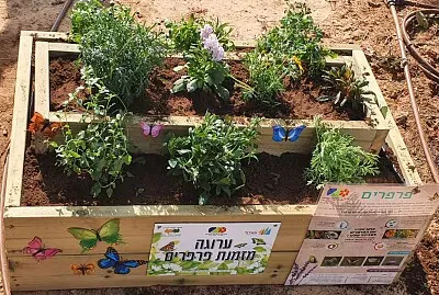 ×¢×¨×•×’×” ×ž×–×ž× ×ª ×¤×¨×¤×¨×™×