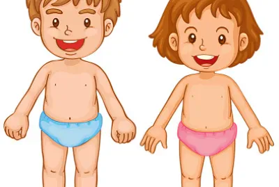 El cuerpo Humano jigsaw puzzle