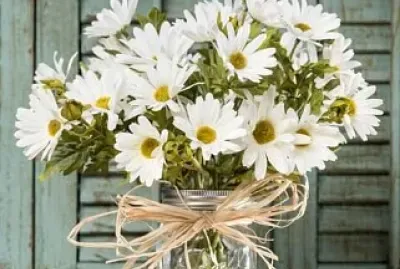 Margaridas jigsaw puzzle