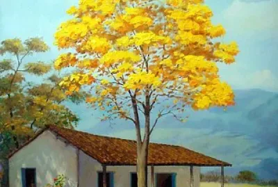 YpÃª amarelo