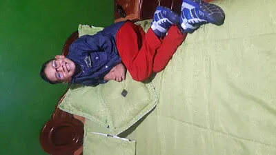 tigres vs leones jigsaw puzzle