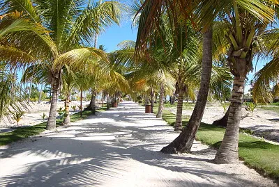 Chemin Plage