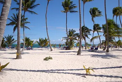 arrivÃ©e Plage jigsaw puzzle