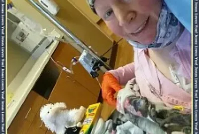 12th CHEMO SESSION -CAROLYN(Breast Cancer)a11/2020