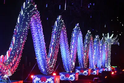 Festival des lanternes, Gaillac, 81 jigsaw puzzle