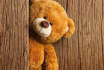 osito peluche jigsaw puzzle