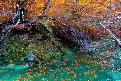 China UwU jigsaw puzzle