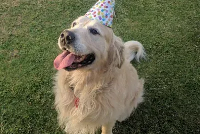 Birthday Jake jigsaw puzzle