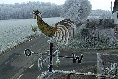 Wetterhahn im Winter jigsaw puzzle