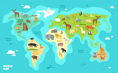 Realiza el rompecabezas