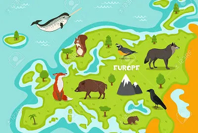 Realiza el rompecabezas