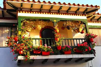 Leyva-Colombia