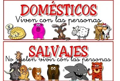Animales domesticos y salvajes