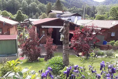 פאזל של Ilse Checa