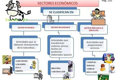 Sectores y actividades economicas