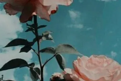 naturaleza jigsaw puzzle