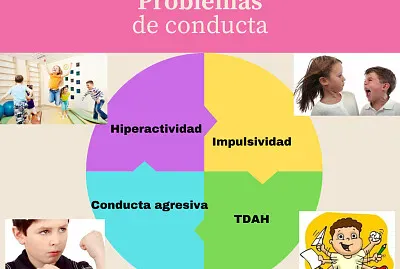 Ordena y consigue pistas