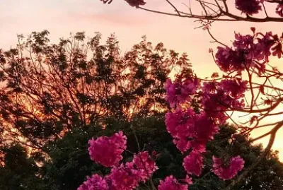 imagem jigsaw puzzle