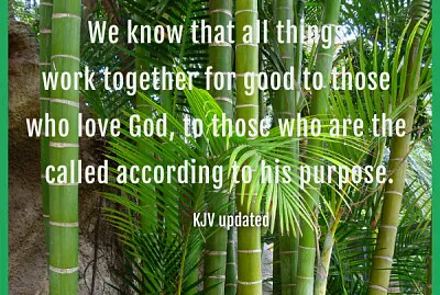 Romans 8:28 jigsaw puzzle