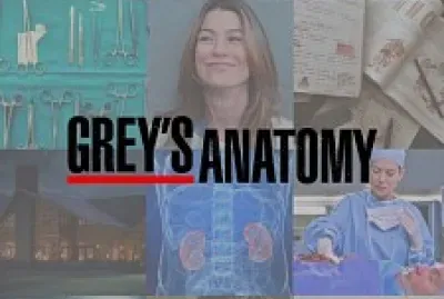 פאזל של Grey 's Anatomy