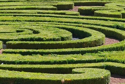 Jardin, Vaux-le-Vicomte, 77