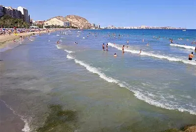 פאזל של alicante-postiguet