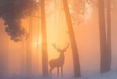 CENÃRIO K388 jigsaw puzzle