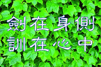 è—å¿ƒ jigsaw puzzle