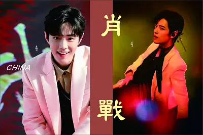 Chinese actor Xiao Zhan jigsaw puzzle