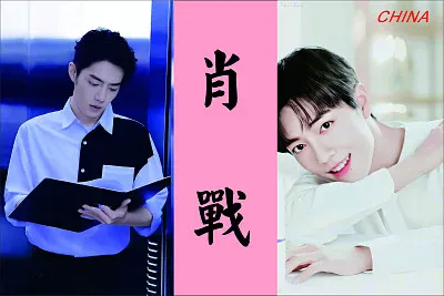 Chinese actor Xiao Zhan jigsaw puzzle