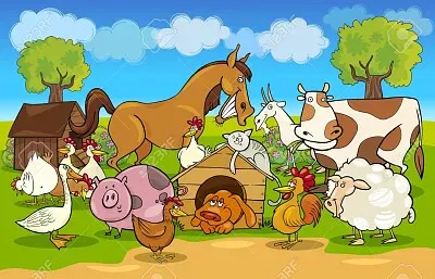 Animale domestice