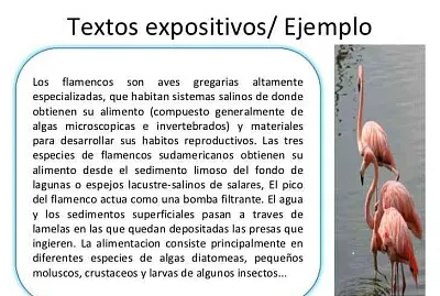 Textos expositivos
