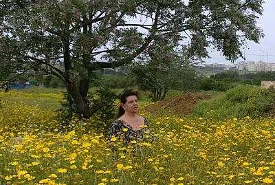 ×¦×ž×— × ×“×™×¨