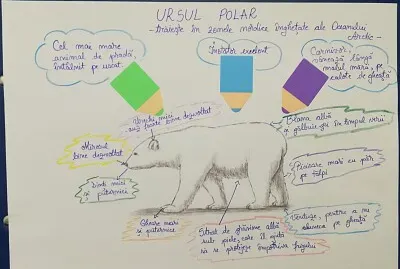 Ursul polar jigsaw puzzle